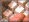 elaborazione pagina