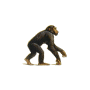 evoluzione